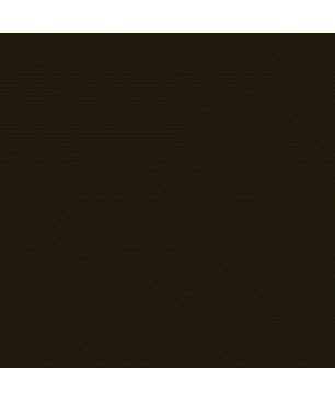 Black Interior Stand-Oil Paint PRO from BEECK