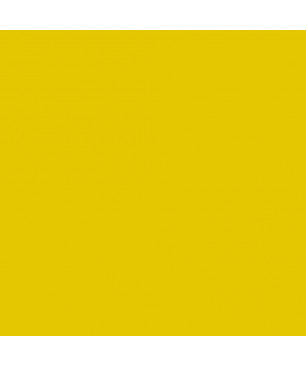 Lemon Yellow Interior Stand-Oil Paint PRO from BEECK