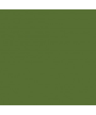 Green Interior Stand-Oil Paint PRO from BEECK