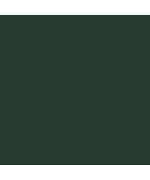 Oxide Green Interior Stand-Oil Paint PRO from BEECK