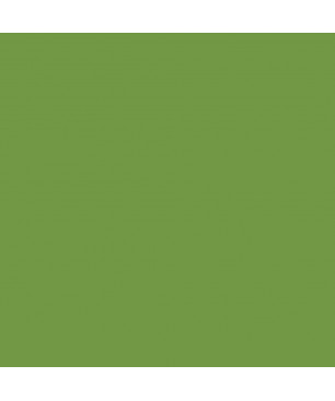 Oxide Green Interior Stand-Oil Paint PRO from BEECK